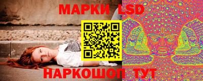амф Можга