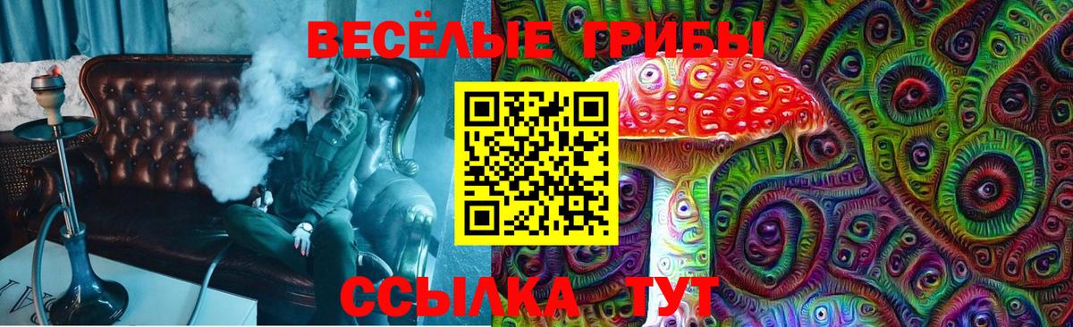 Химки  Псилоцибиновые грибы ЛСД  закладка  Вход с VPN 